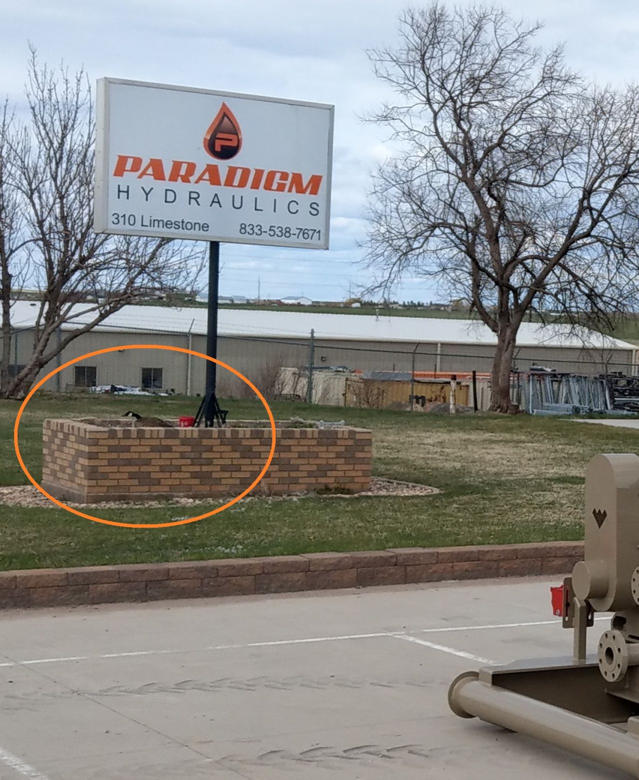 A goose nesting outside Paradigm Hydraulics Wyoming headquarters.